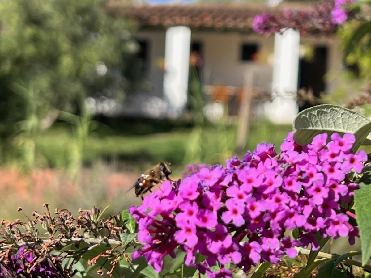 Camping Bungalows Armalygal Murillo de Gállego Екстериор снимка